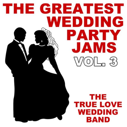 The True Love Wedding Band - The Greatest Wedding Party Jams Vol  3 - 2010