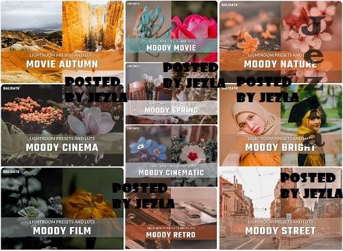Balisatu Shop Lightroom Bundle v03 - 10 Premium Graphics