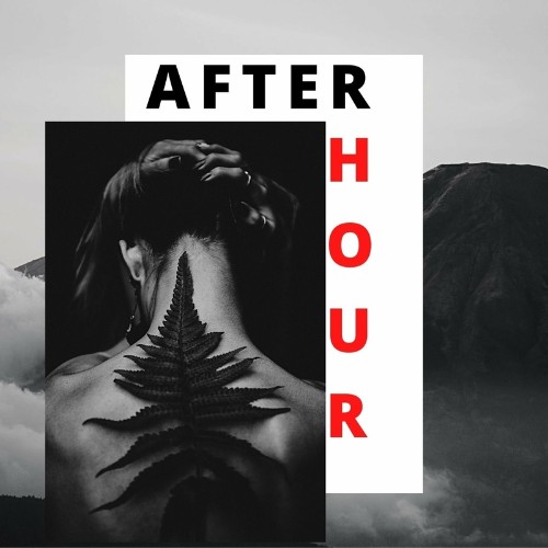 Afterhour (The Deephouse Selection) (2022)