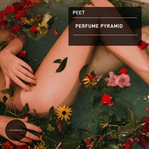 Peet - Perfume Pyramid (2022)