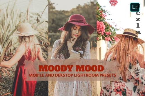 Moody Mood Lightroom Presets Dekstop and Mobile