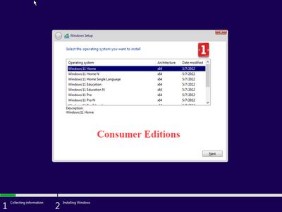 Windows 11 RTM Final Build 22000.675 Business/Consumer Edition English May 2022 MSDN