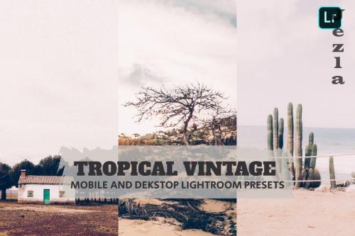 Tropical Vintage Lightroom Presets Dekstop Mobile