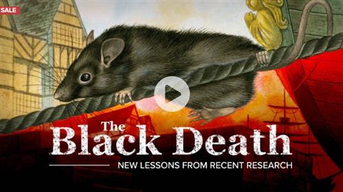 The Black Death New Lessons from Recent Research
