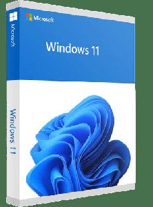 Windows 11 Pro 21H2 Build 2200 ...