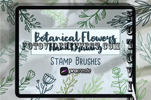 Botanical Flowers Hand Drawing Brush Stamp