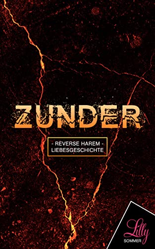 Cover: Lilly Sommer  -  Zunder: Deine Liebesgeschichte Reverse Harem