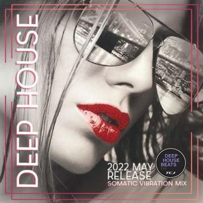 VA - Deep House Somatic Mix (2022) (MP3)