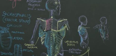 Complete Human Anatomy for Artists Live Class – January 2022 with Rey Bustos