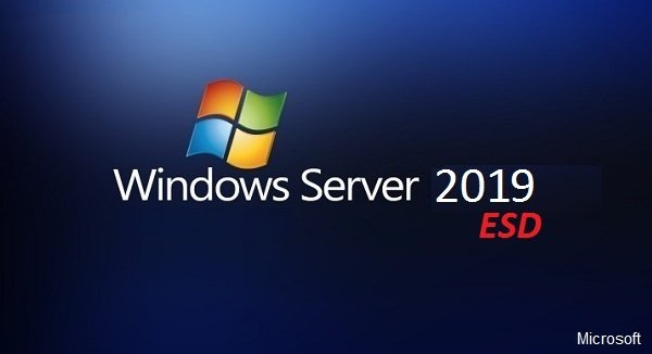 Windows Server 2019 Version 1809 Build 17763.2928 Standard en-US ESD MAY 2022