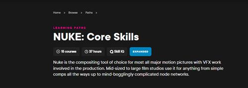 Patrick Krebs - NUKE Core Skills 2022