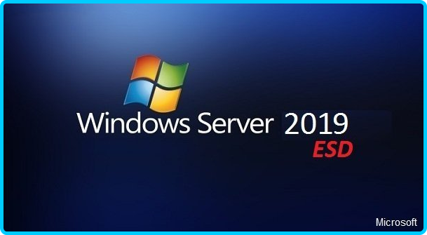 Windows Server 2019 Version 1809 Build 17763.2928 Standard en-US ESD MAY 2022 Bcd75ad20bd4669749cf41d5477784db