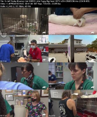 Dr Jeff Rocky Mountain Vet S08E03 Little Puppy Big Heart HDTV x264-CRiMSON