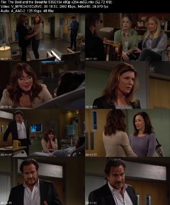 The Bold and the Beautiful S35E134 480p x264-[mSD]