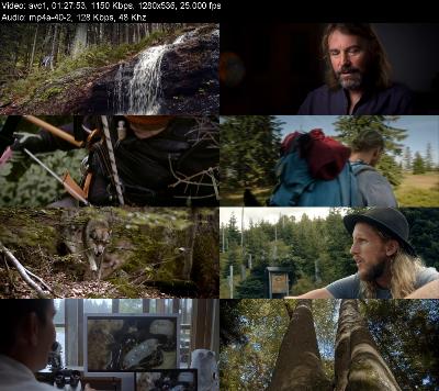 Der Wilde Wald (2021) [720p] [BluRay]