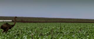 Мадалена (2021)