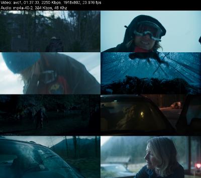 Infinite Storm (2022) [1080p] [WEBRip] [5.1]