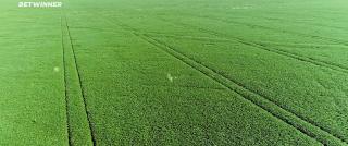 Мадалена (2021)