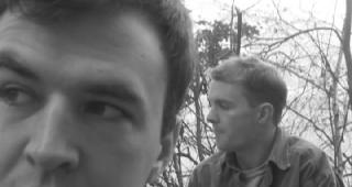 Друиды. Друиды повсюду (2020)