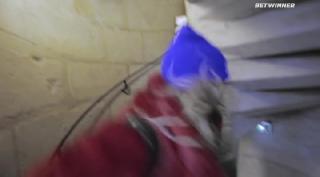 Мокрый пёс (2021)