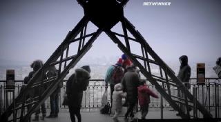 Мокрый пёс (2021)