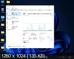 Windows 11 Pro x64 Micro 21H2 build 22000.651 by Zosma (RUS/2022)