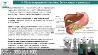 Здоровая микробиота: здоровье навсегда (2022/PCRec/Rus)