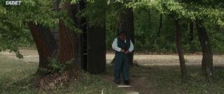 Гарри Хафт: Последний бой (2021)