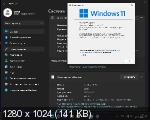 Windows 11 x64 Professional 22H2.22610.1 Lite by Zosma (RUS/2022)