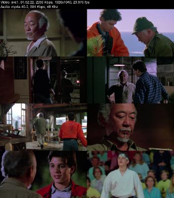 The Karate Kid Part III (1989) [1080p] [BluRay] [5 1]