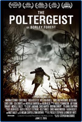 The Poltergeist of Borley Forest 2013 1080p BluRay x265-RARBG