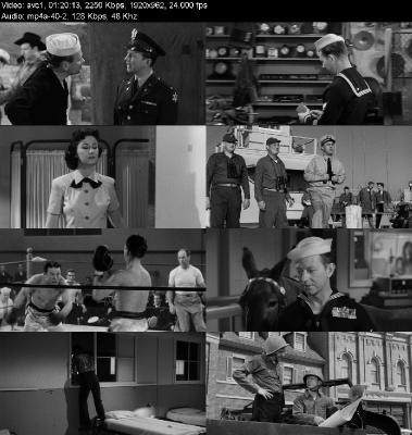 Francis In The Navy (1955) [1080p] [BluRay]