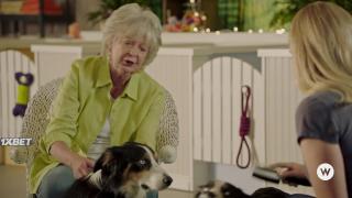 Хвостатая любовь (2022)