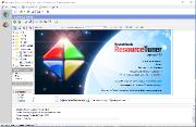 Resource Tuner 2.23.0 Business / Personal RePack & Portable Dodakaedr (x86-x64) (2023) (Eng/Rus)