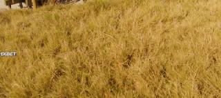 Грешное тело(2018)