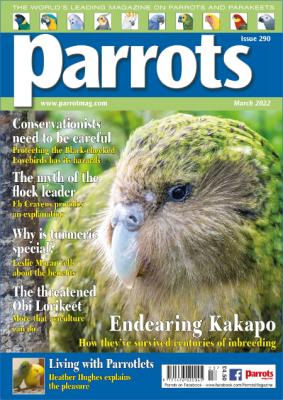 Parrots - March 2018