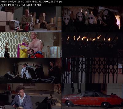 The Omega Man (1971) [1080p] [BluRay]