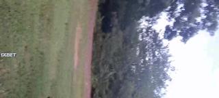 Пранкеры (2021)