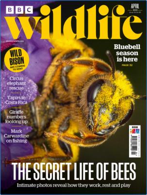 BBC Wildlife - April 2013