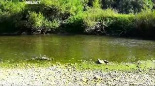 Бабка-демон убивает (2019)