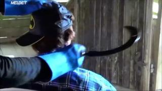 Бабка-демон убивает (2019)