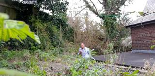 Изо-покалипсис (2020)